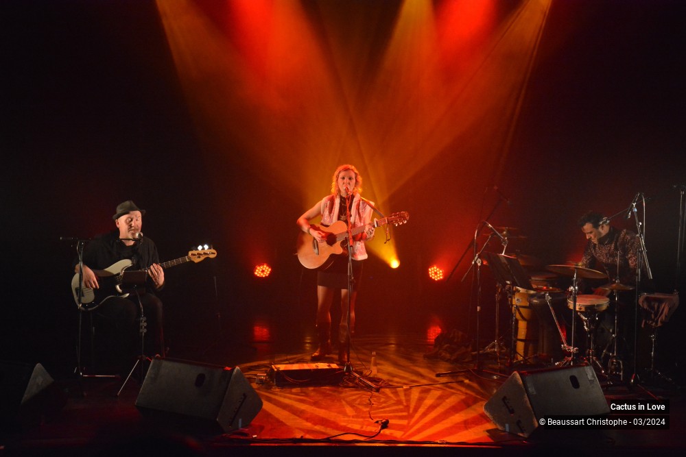 23/27 photos du spectacle Cactus in Love