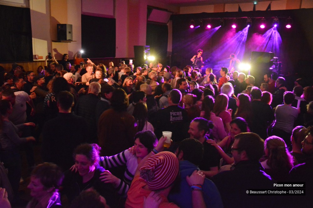 15/20 photos du spectacle Picon mon Amour