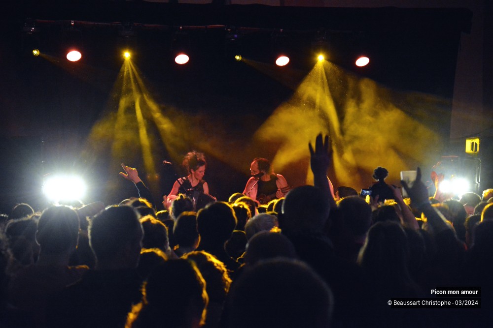 16/20 photos du spectacle Picon mon Amour