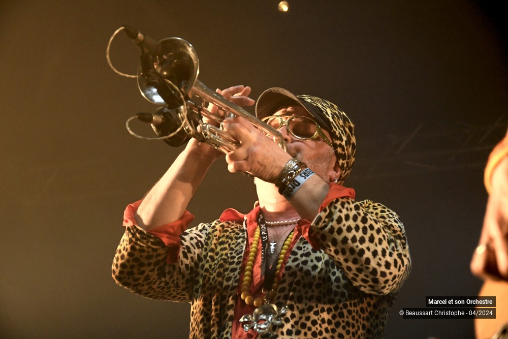 11/36 photos du spectacle Marcel et son Orchestre