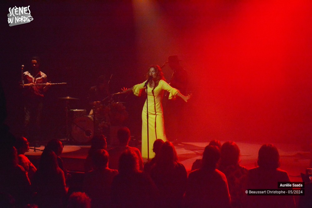 20/20 photos du spectacle Aurélie Saada