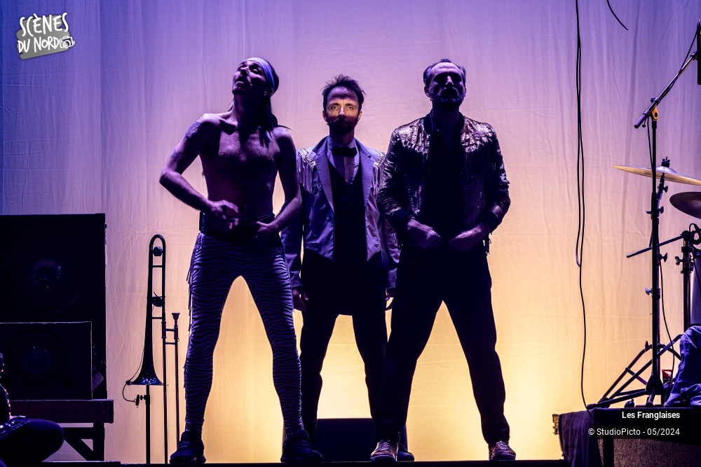 16/20 photos du spectacle Les Franglaises