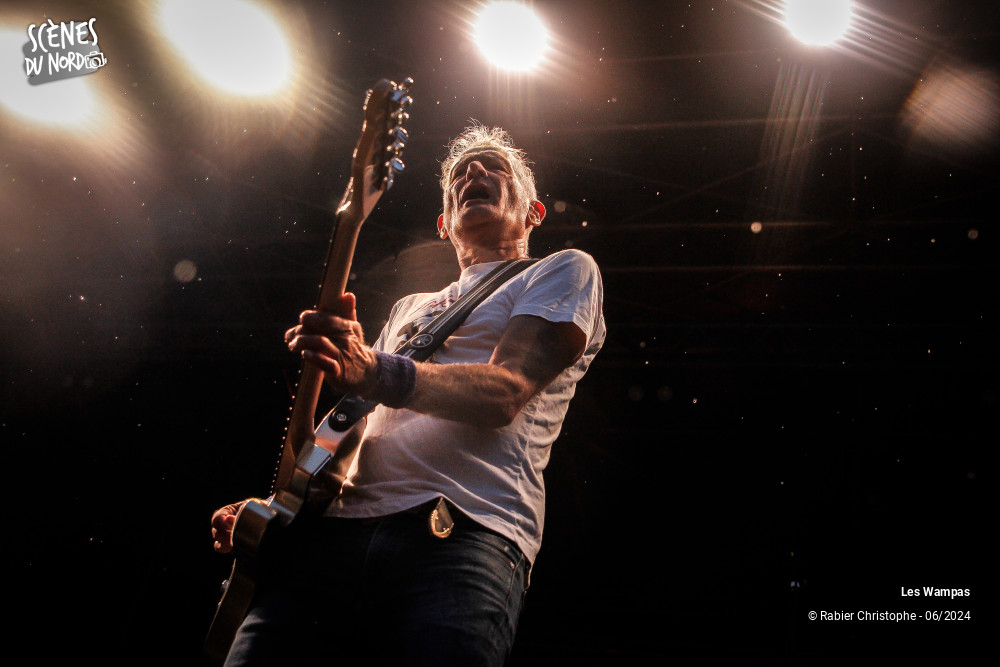 10/20 photos du spectacle Les Wampas
