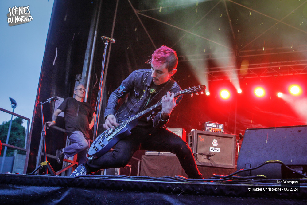 13/20 photos du spectacle Les Wampas
