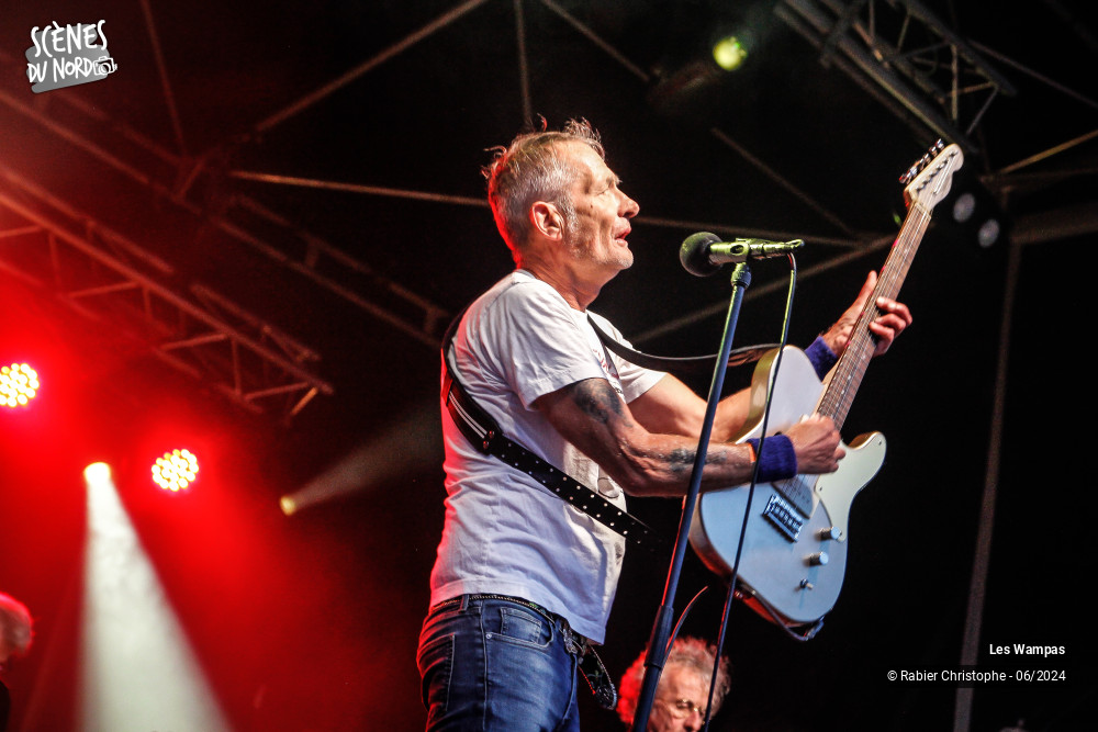 15/20 photos du spectacle Les Wampas