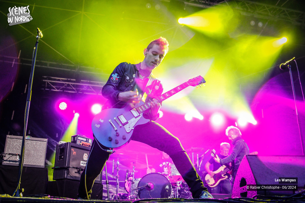 17/20 photos du spectacle Les Wampas