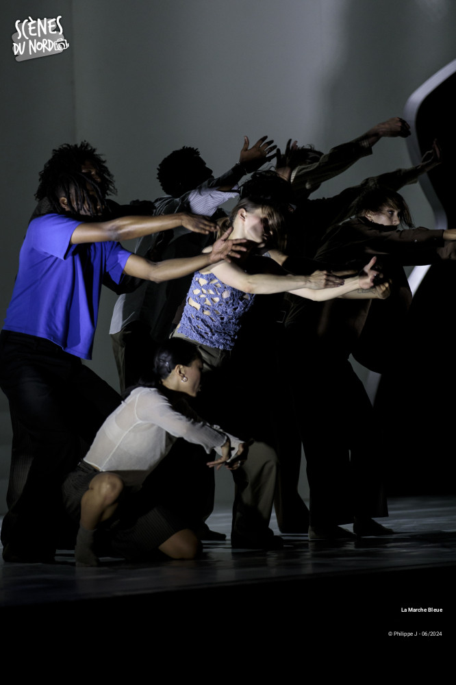 13/17 photos du spectacle La Marche Bleue