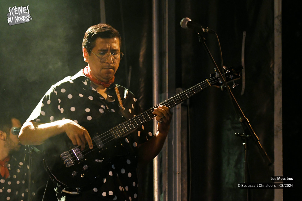 1/20 photos du spectacle Los Moustros