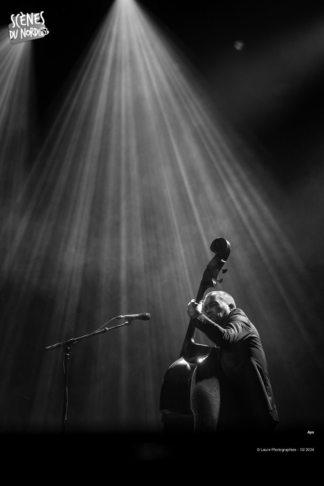4/20 photos du spectacle AYO