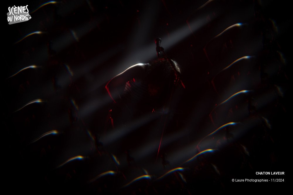 14/14 photos du spectacle CHATON LAVEUR