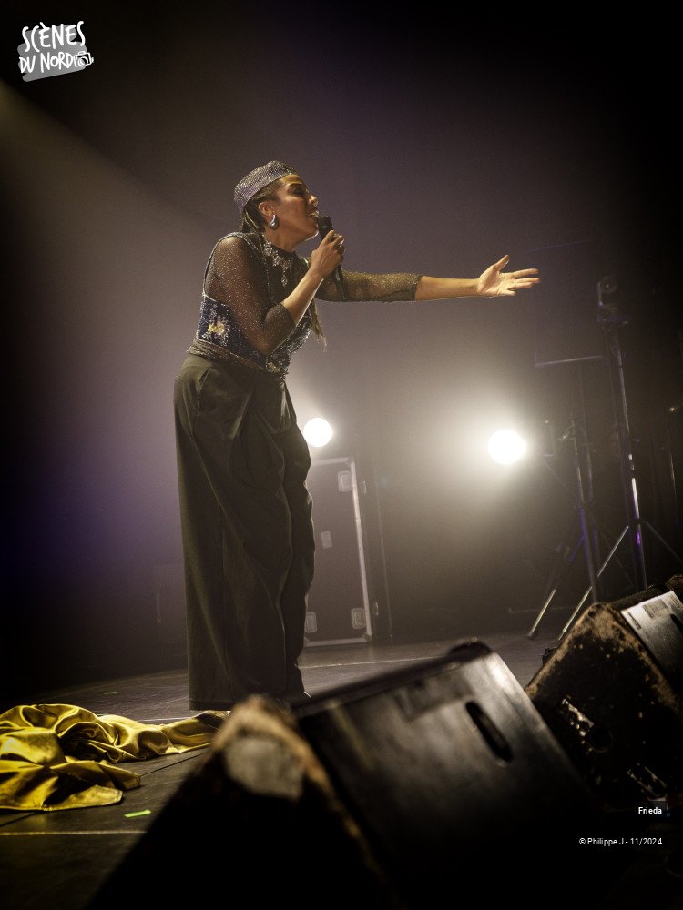 2/11 photos du spectacle Frieda