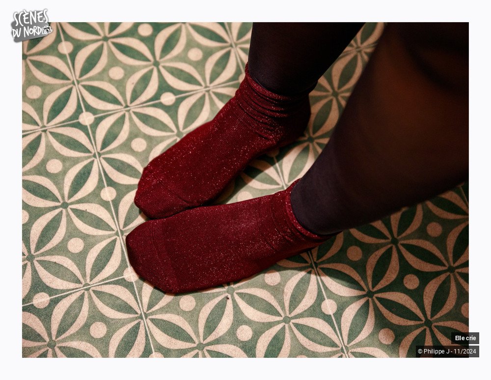 6/8 photos du spectacle Elle crie