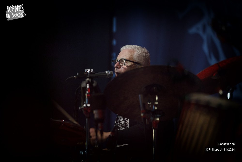 9/15 photos du spectacle Sanseverino