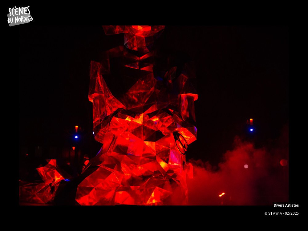 3/20 photos du spectacle Soirée du 7 février dans les rues de Mons
