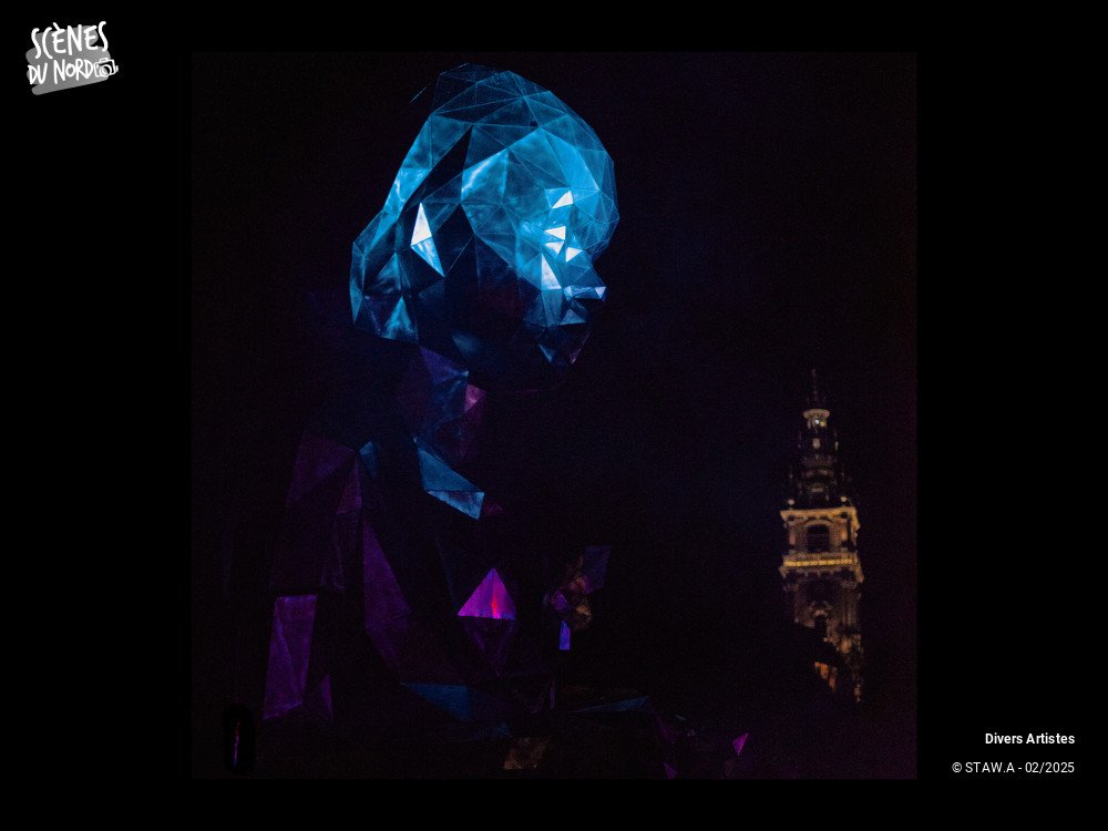 5/20 photos du spectacle Soirée du 7 février dans les rues de Mons