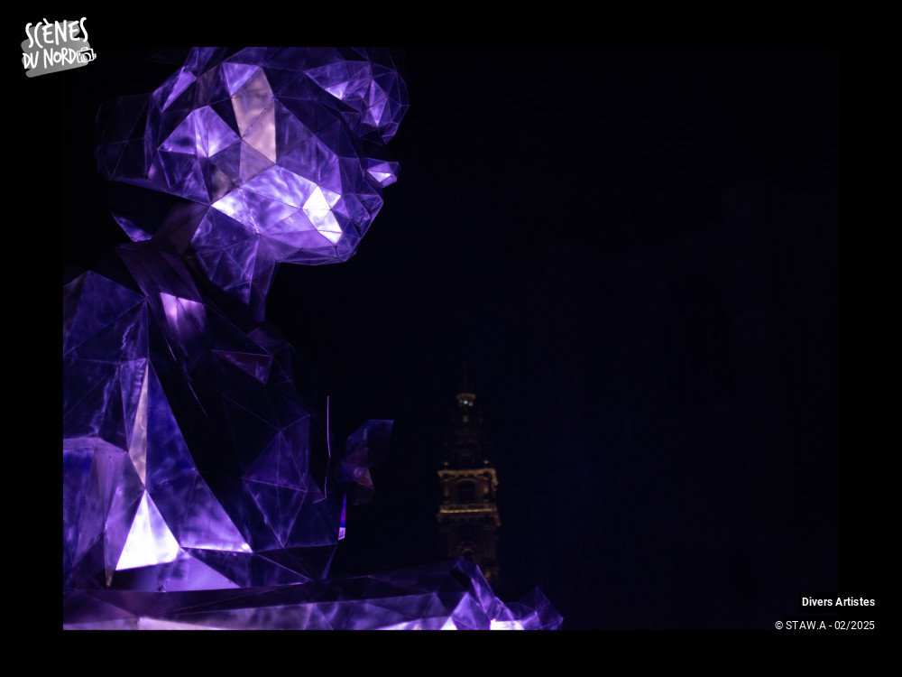 7/20 photos du spectacle Soirée du 7 février dans les rues de Mons