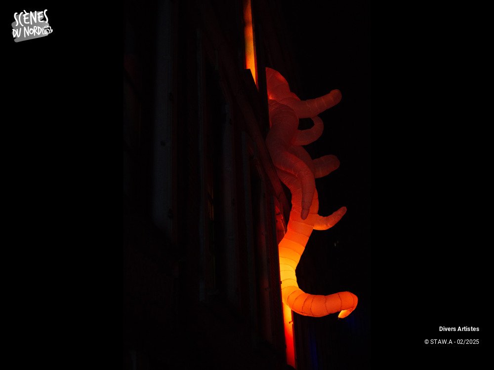 18/20 photos du spectacle Soirée du 7 février dans les rues de Mons