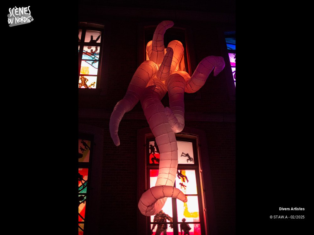 20/20 photos du spectacle Soirée du 7 février dans les rues de Mons