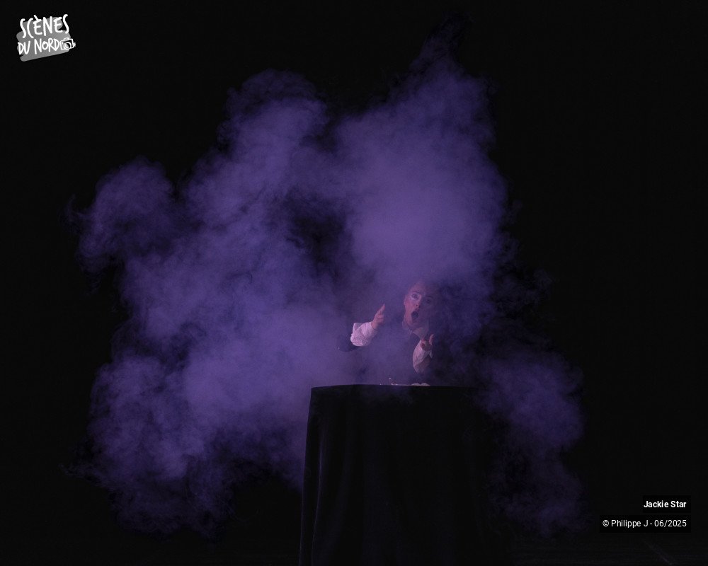 9/15 photos du spectacle L'élégance et la beauté