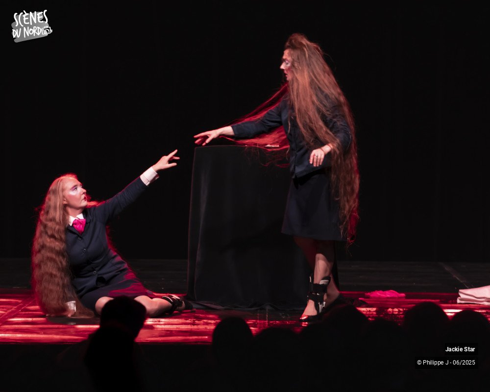 14/15 photos du spectacle L'élégance et la beauté