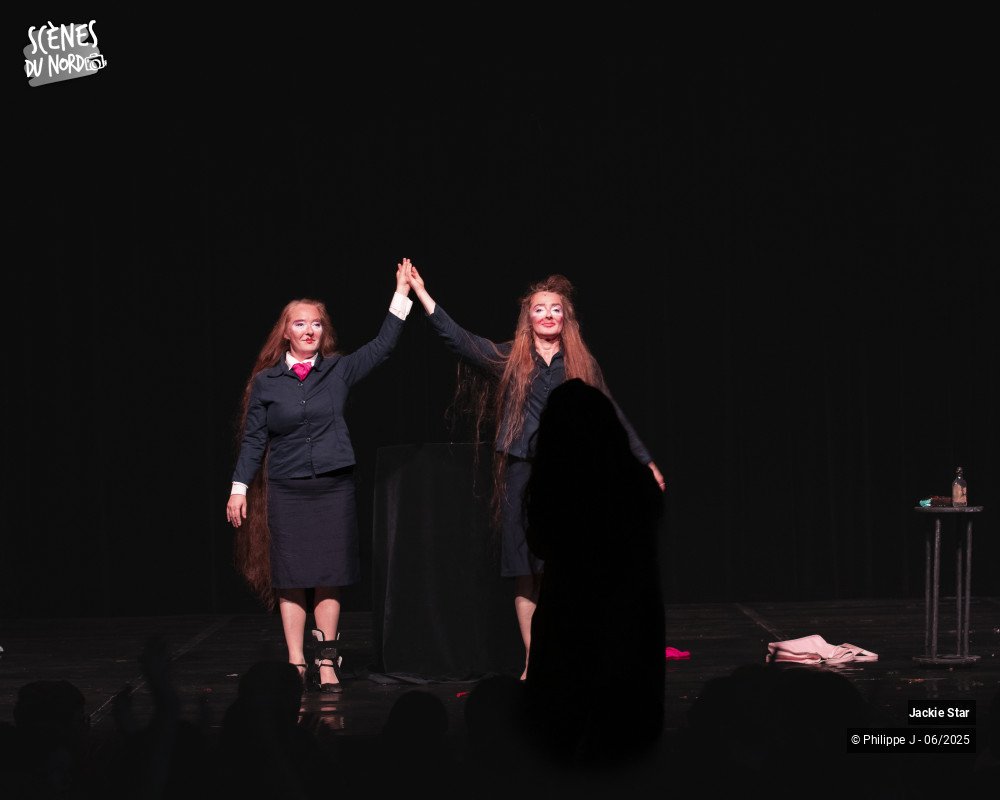 15/15 photos du spectacle L'élégance et la beauté