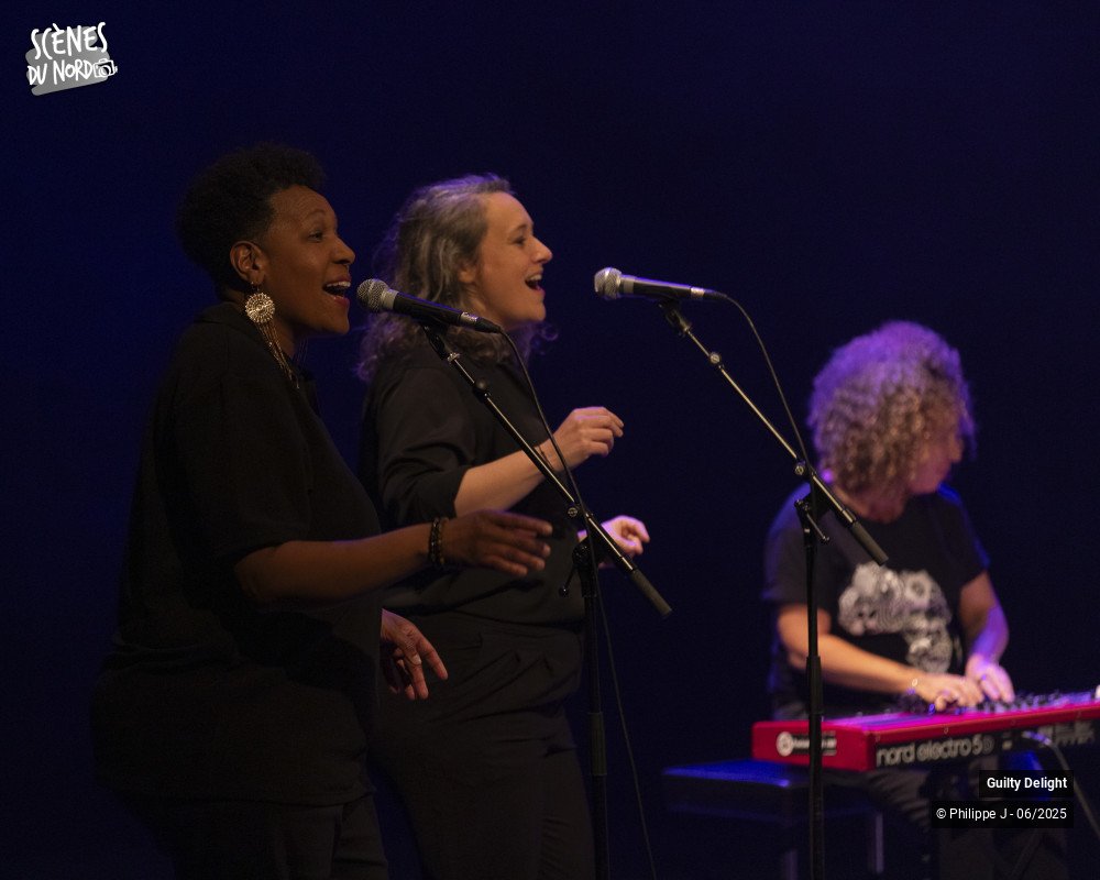 1/18 photos du spectacle Guilty Delight