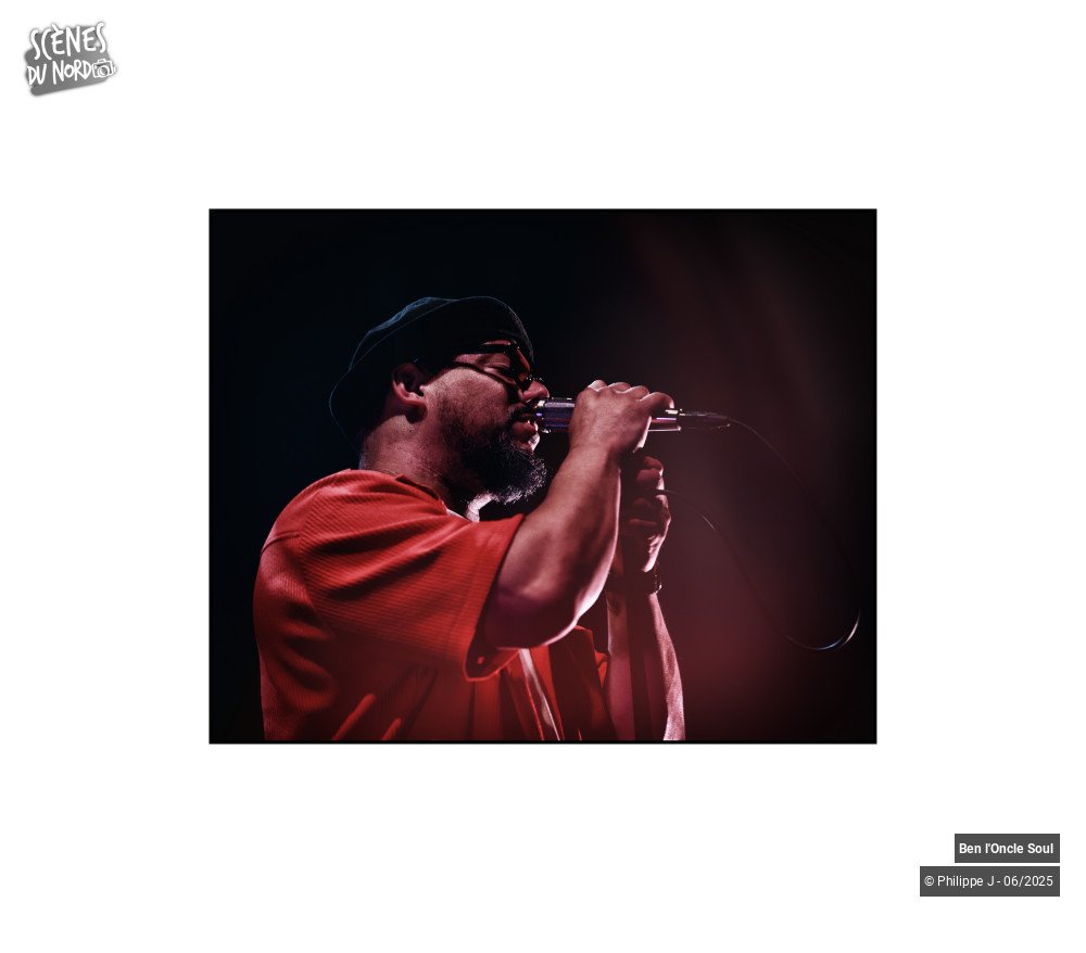 6/16 photos du spectacle Ben l'Oncle Soul