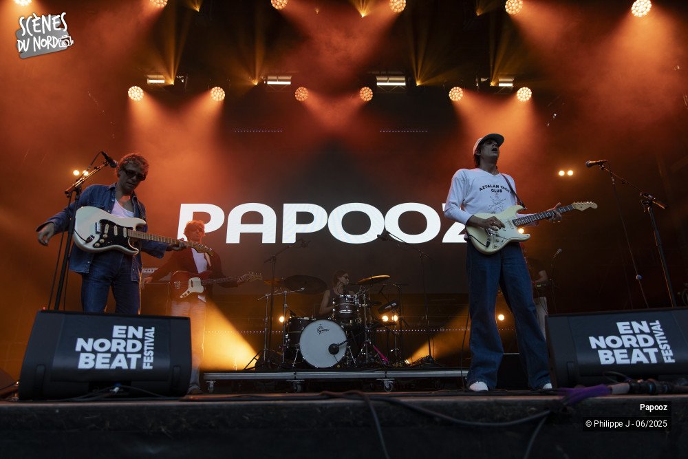 11/12 photos du spectacle Papooz