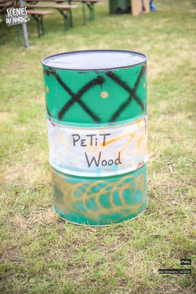 16/20 photos du spectacle Ambiance 2 au festival Le P'tit Wood 2025