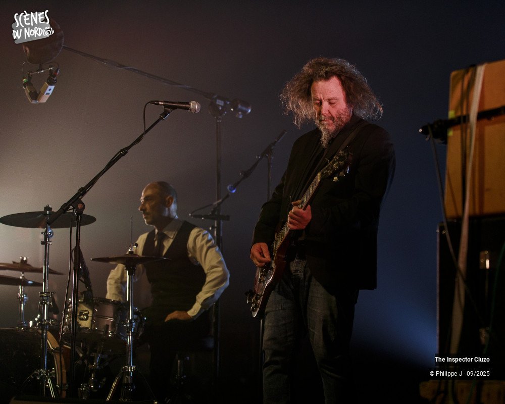 2/8 photos du spectacle The Inspector Cluzo