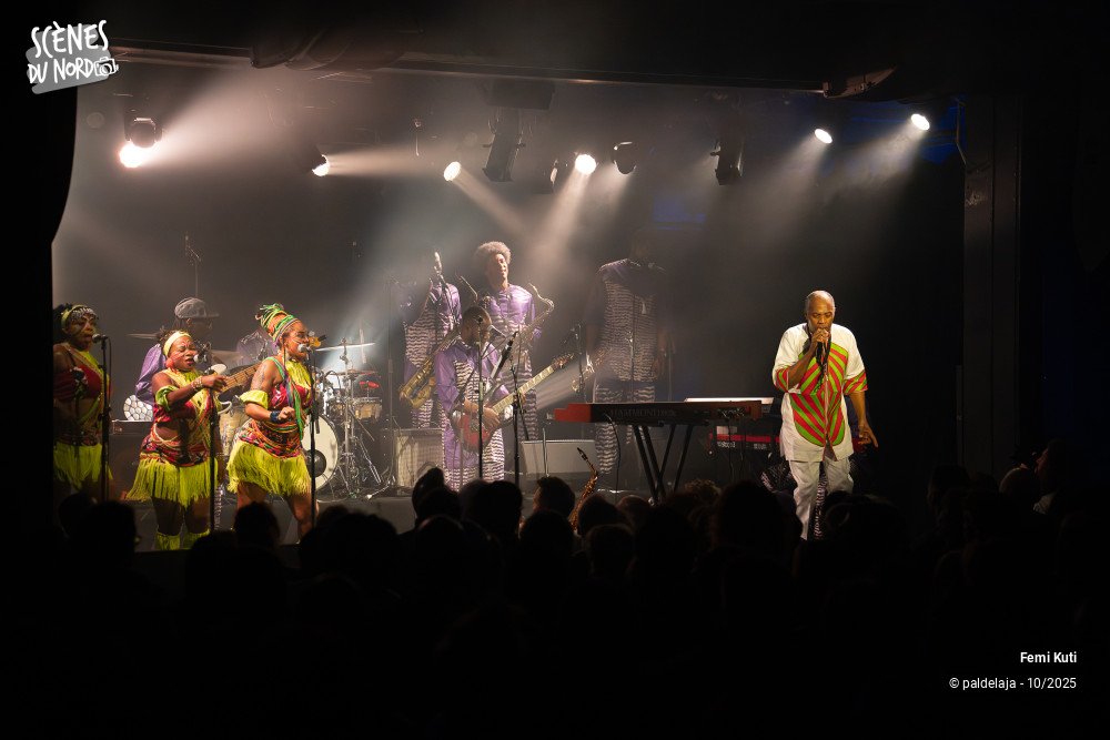 13/16 photos du spectacle Femi Kuti