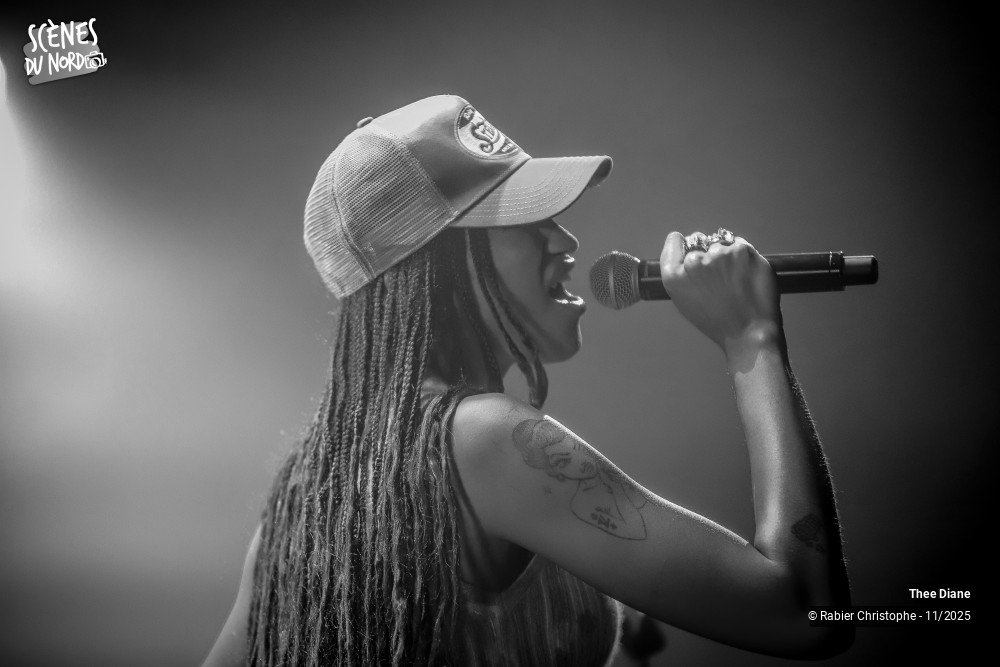 11/14 photos du spectacle Thee Diane