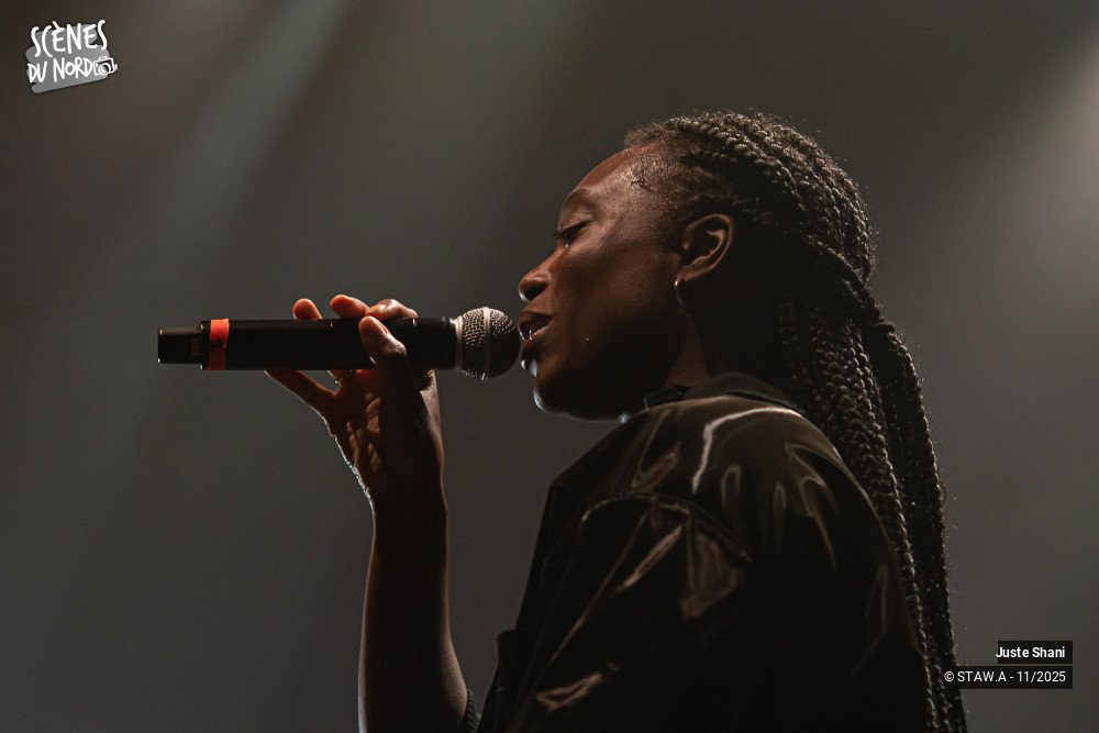 2/20 photos du spectacle Juste Shani