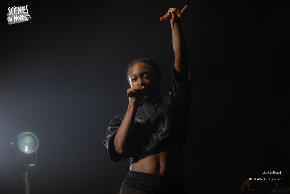 5/20 photos du spectacle Juste Shani
