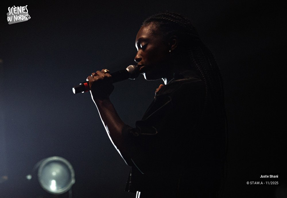 10/20 photos du spectacle Juste Shani