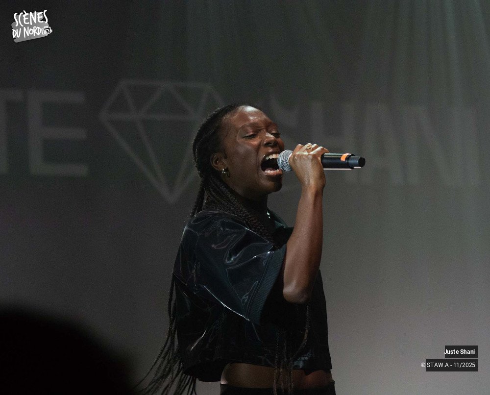 14/20 photos du spectacle Juste Shani
