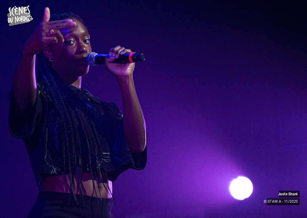 15/20 photos du spectacle Juste Shani