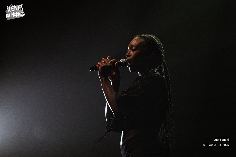 17/20 photos du spectacle Juste Shani