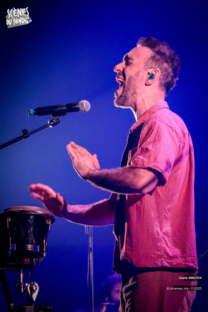 1/12 photos du spectacle Charlie Winston