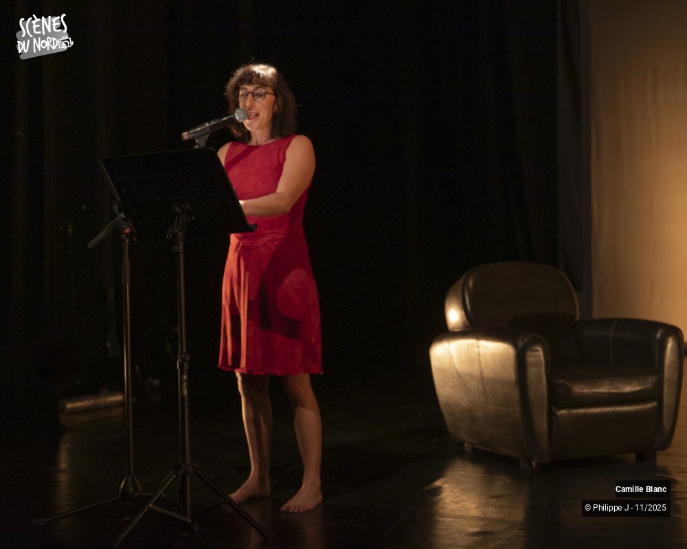 1/20 photos du spectacle Femmes sur le fil