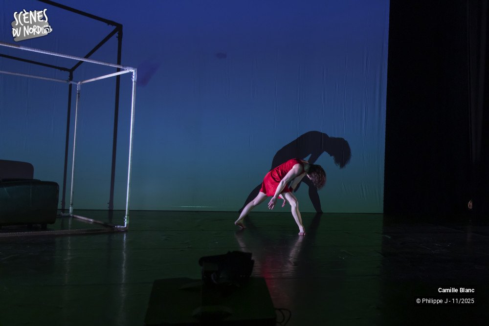 11/20 photos du spectacle Femmes sur le fil