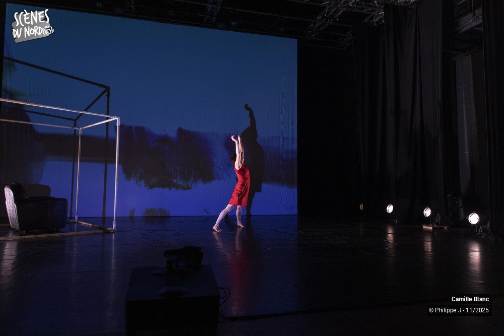 12/20 photos du spectacle Femmes sur le fil