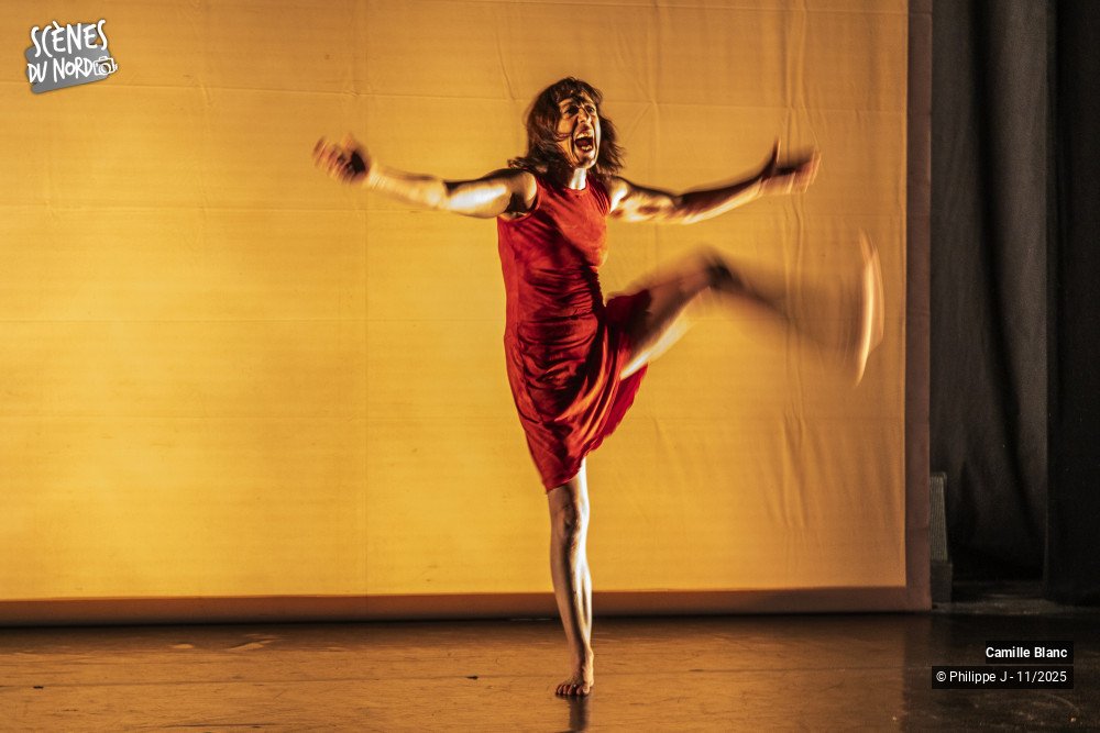 16/20 photos du spectacle Femmes sur le fil