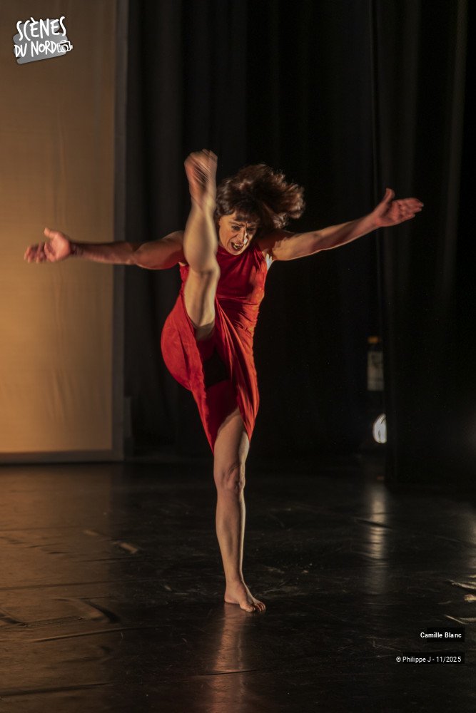 17/20 photos du spectacle Femmes sur le fil
