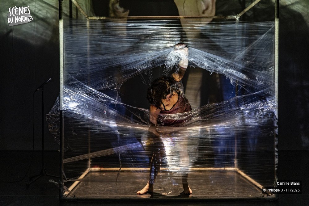 20/20 photos du spectacle Femmes sur le fil