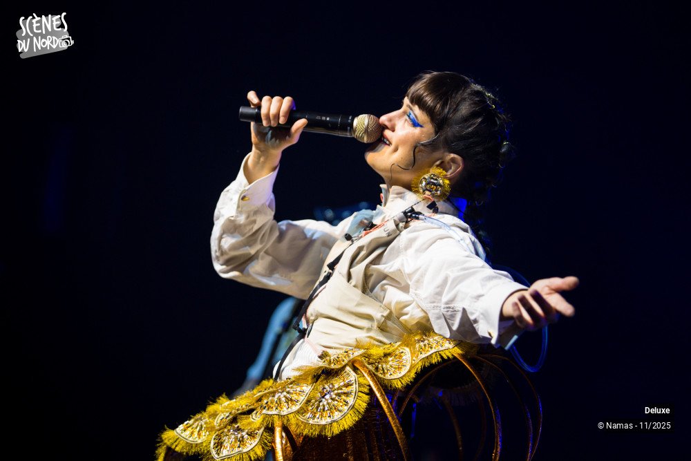 2/20 photos du spectacle Deluxe