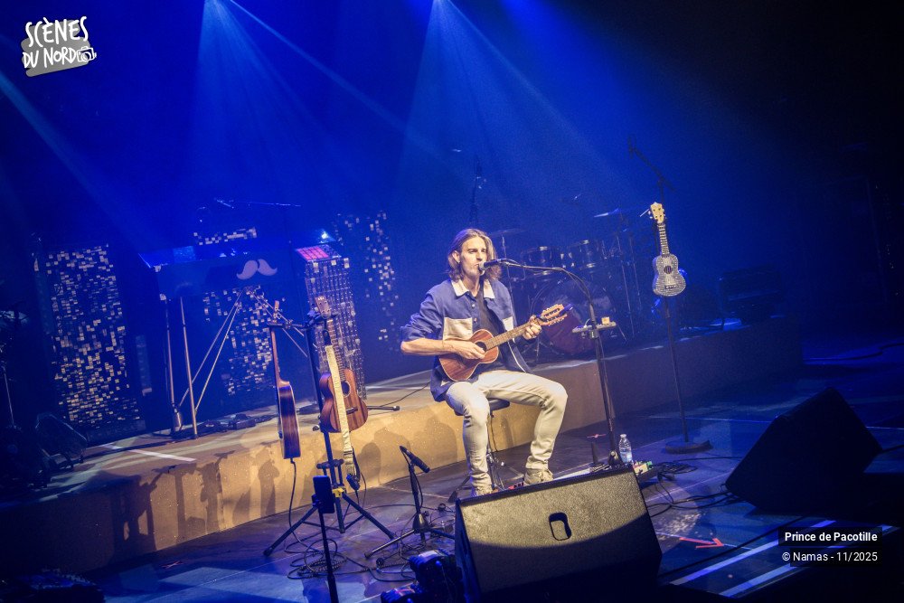 8/12 photos du spectacle Prince de Pacotille