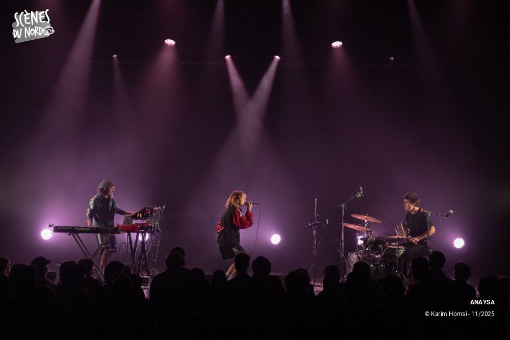 2/20 photos du spectacle Anaysa