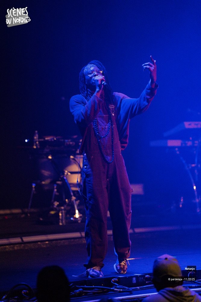 4/8 photos du spectacle Natanjo