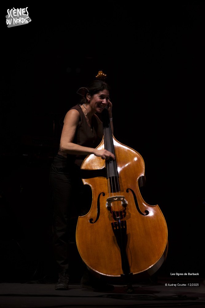 3/8 photos du spectacle Les Ogres de Barback
